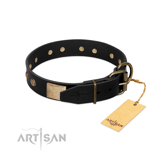 Rust-proof decorations on handy use dog collar