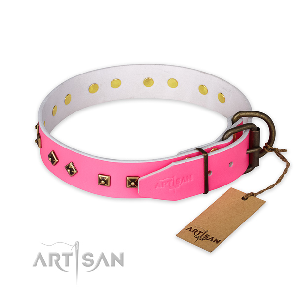 Corrosion proof traditional buckle on full grain genuine leather collar for daily walking your dog