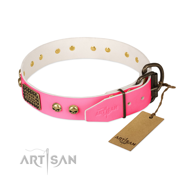 Reliable fittings on basic training dog collar