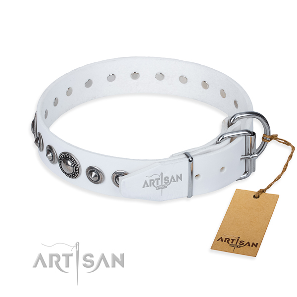 Leather dog collar made of quality material with rust-proof embellishments