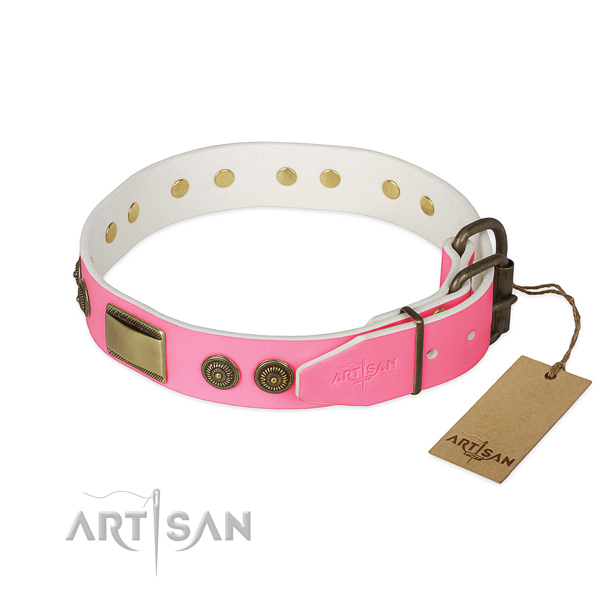 Rust resistant embellishments on handy use dog collar