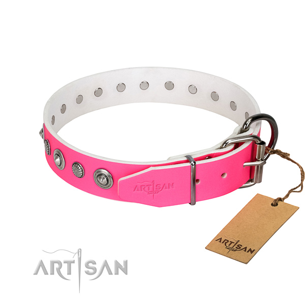Strong full grain natural leather dog collar with unusual adornments
