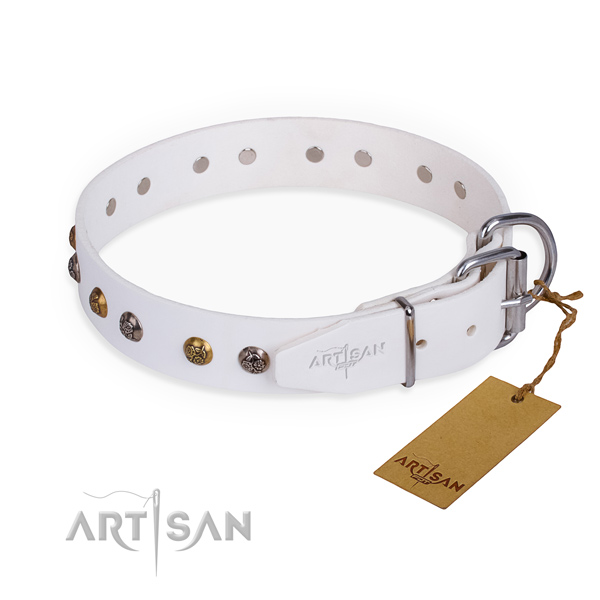 Genuine leather dog collar with unique corrosion resistant adornments