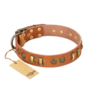 (image for) "Natural Beauty" FDT Artisan Tan Leather American Bulldog Collar with Old Bronze-like Circles and Plates