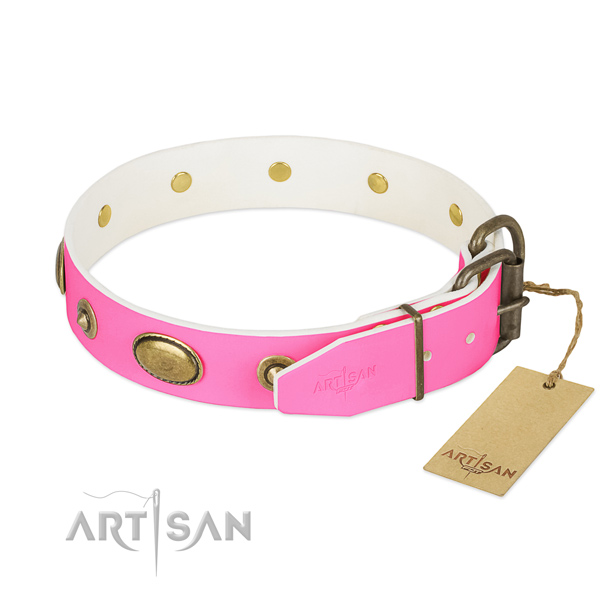 Corrosion resistant adornments on natural leather dog collar for your pet