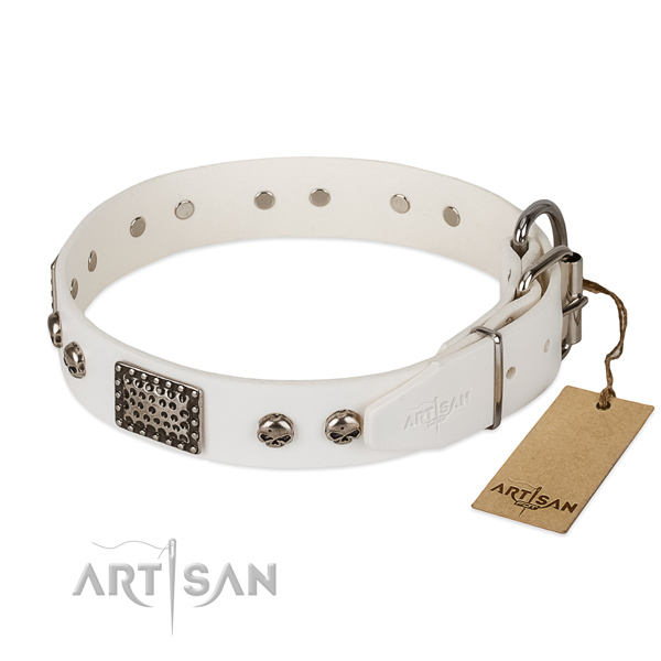 Corrosion resistant D-ring on handy use dog collar