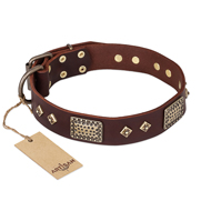 (image for) "Loving Owner" FDT Artisan Decorated Leather American Bulldog Collar with Plates and Studs