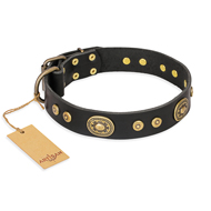(image for) "Golden Radiance" FDT Artisan Black Leather American Bulldog Collar with Old Bronze Look Ovals and Circles
