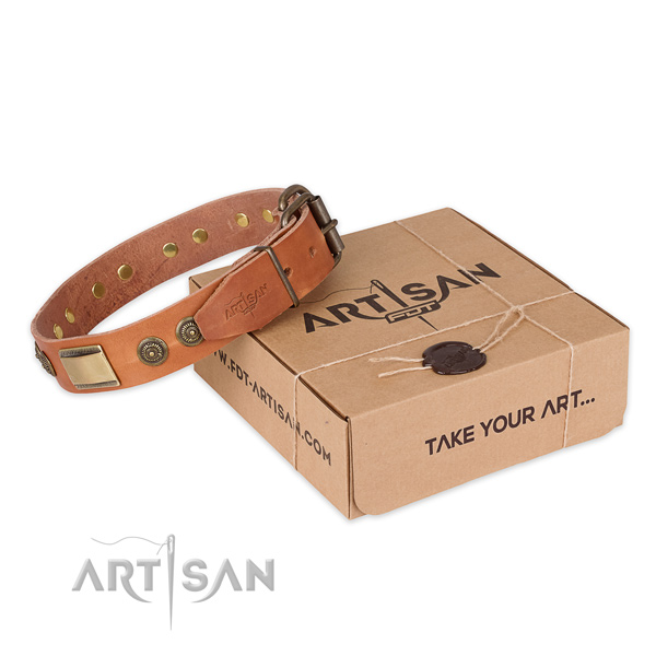 Rust-proof buckle on full grain leather dog collar for everyday walking