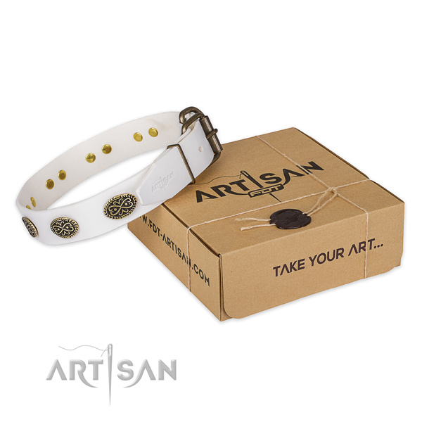 Corrosion resistant fittings on full grain genuine leather dog collar for daily use