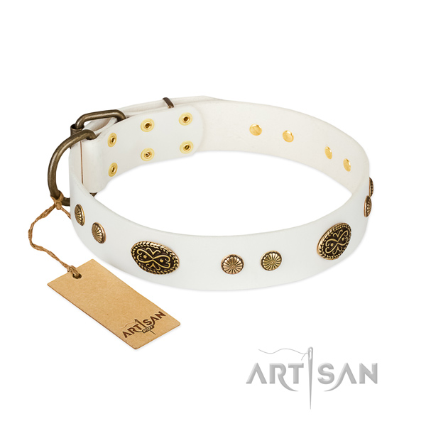 Corrosion resistant traditional buckle on full grain natural leather dog collar for your dog