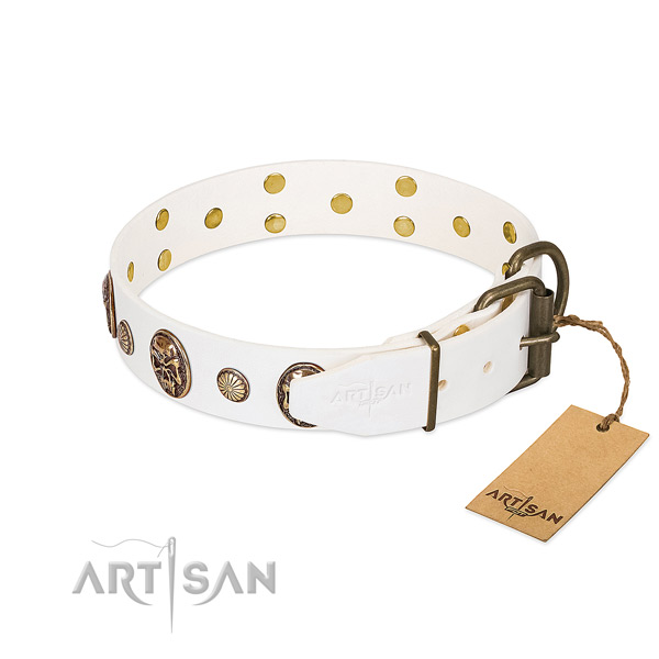 Rust resistant fittings on natural genuine leather collar for walking your doggie