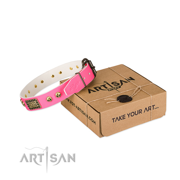 Durable decorations on dog collar for basic training