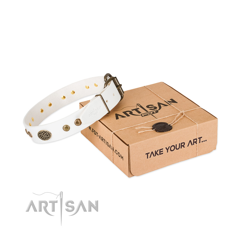 Corrosion resistant D-ring on leather dog collar for your doggie