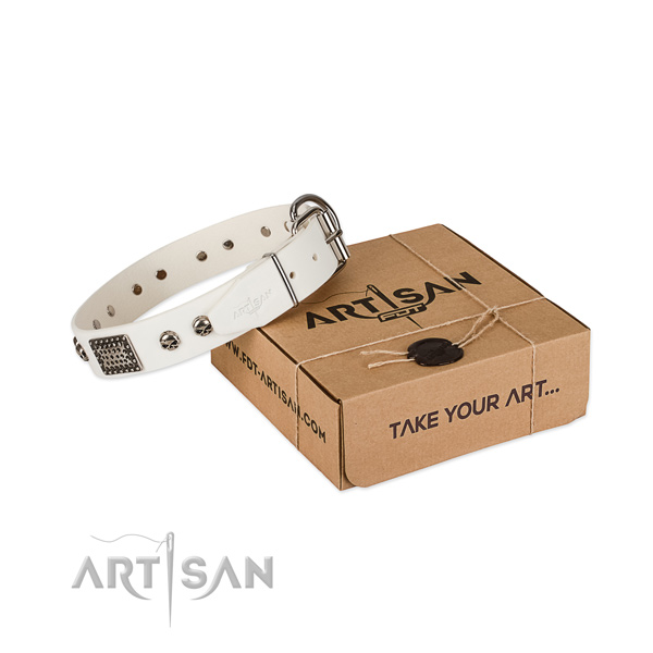 Rust-proof embellishments on dog collar for handy use