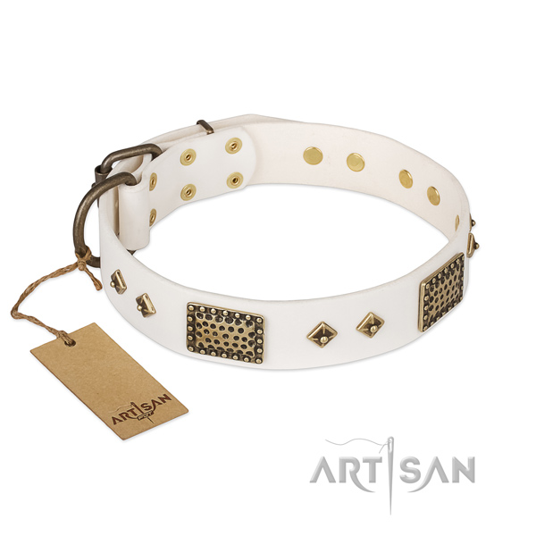 Fashionable leather dog collar for basic training