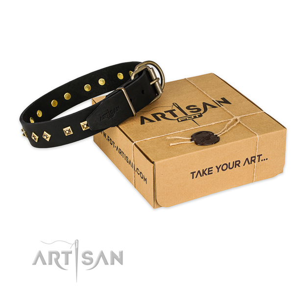 Corrosion resistant fittings on full grain genuine leather dog collar for daily use