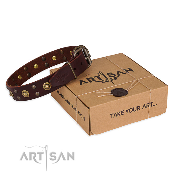 Reliable D-ring on full grain leather collar for your impressive doggie