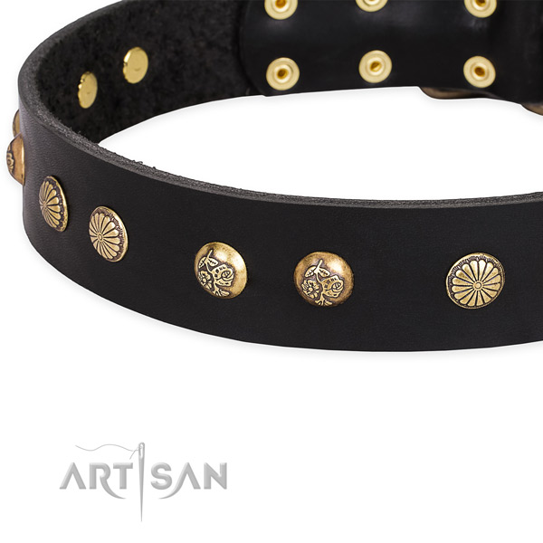 Full grain leather collar with reliable D-ring for your attractive four-legged friend