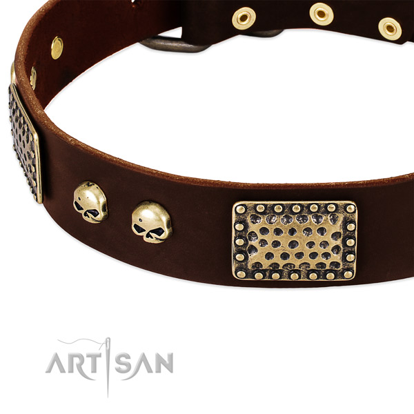 Strong adornments on leather dog collar for your canine