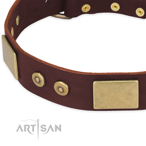 Full grain natural leather dog collar with decorations for handy use
