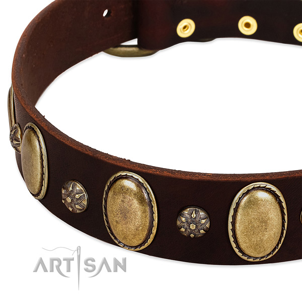 Everyday walking best quality full grain leather dog collar