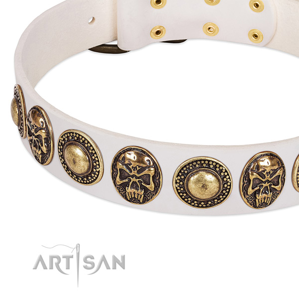 Reliable embellishments on genuine leather dog collar for your doggie