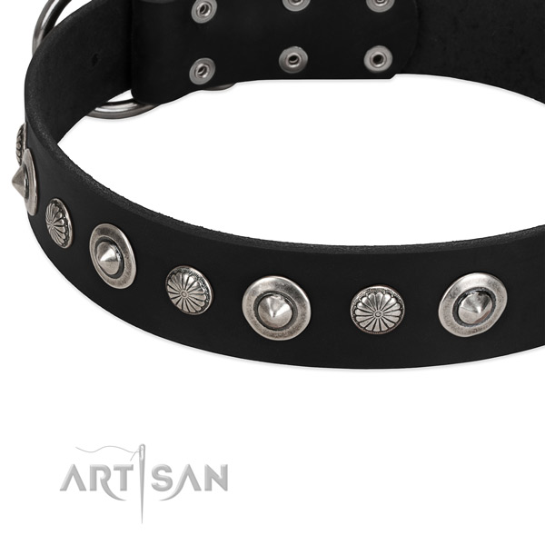 Top notch decorated dog collar of top quality natural leather