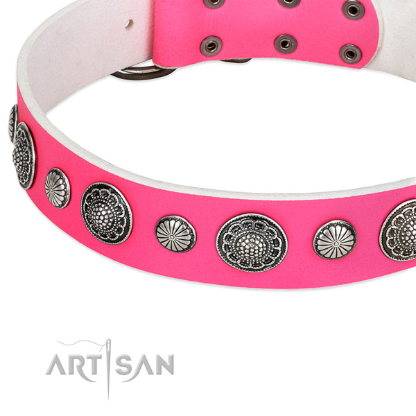 Natural leather collar with reliable hardware for your beautiful canine