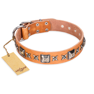 (image for) "Glamour Finery" FDT Artisan Female American Bulldog collar of natural leather with stylish old-looking circles