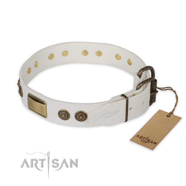 Rust resistant D-ring on full grain leather collar for basic training your doggie