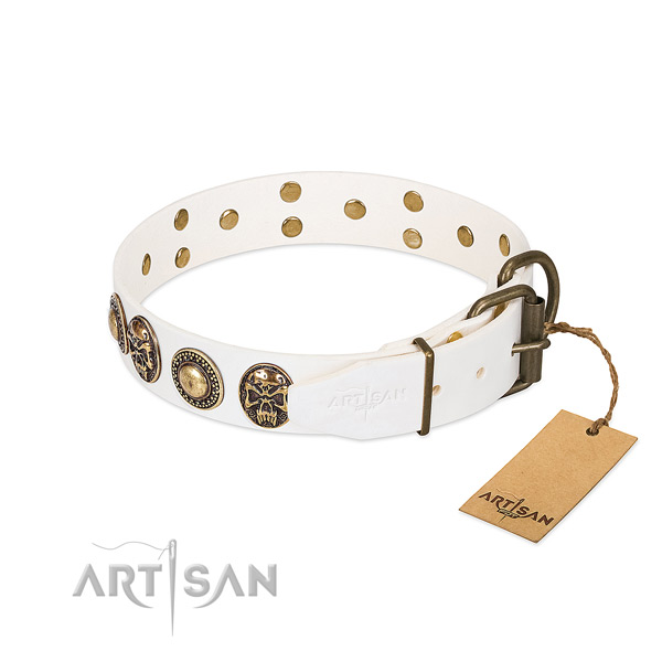 Corrosion resistant traditional buckle on comfortable wearing dog collar