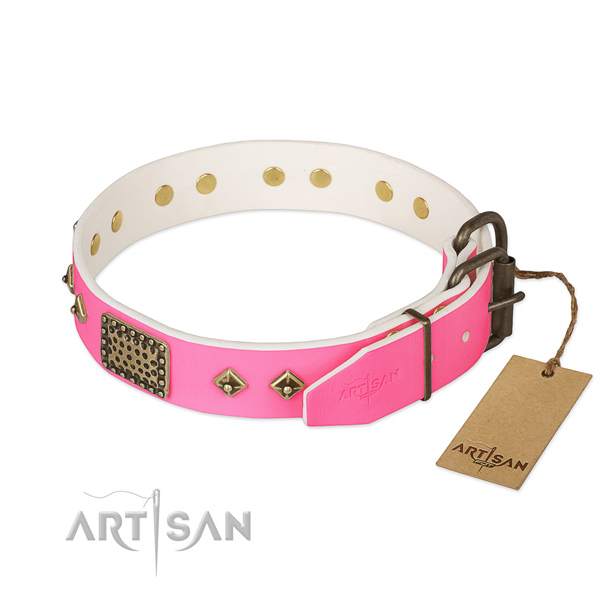 Strong studs on walking dog collar