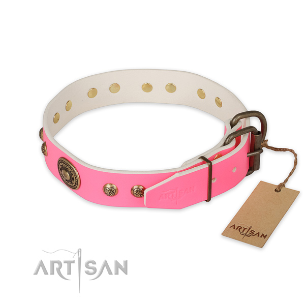 Rust-proof fittings on leather collar for everyday walking your doggie
