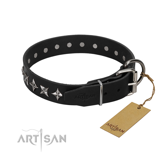 Comfy wearing adorned dog collar of strong full grain natural leather