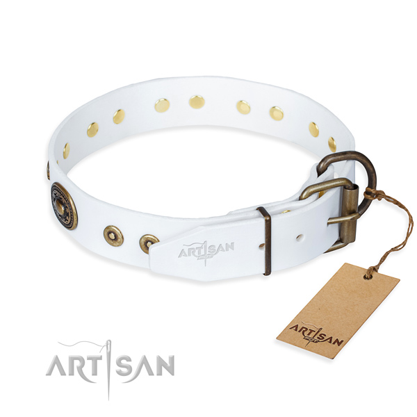 Full grain natural leather dog collar made of top notch material with corrosion proof adornments
