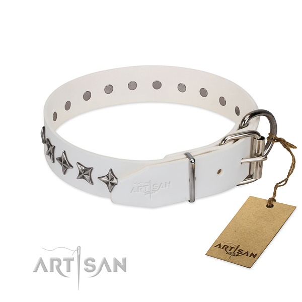 Stylish walking embellished dog collar of finest quality full grain genuine leather