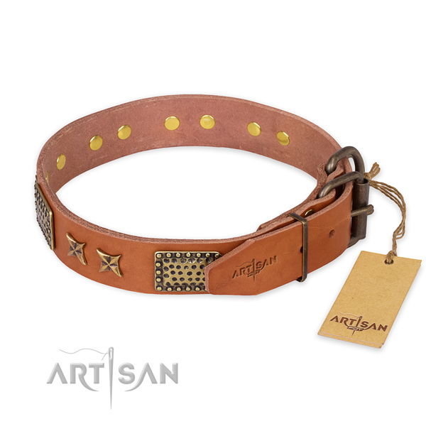 Rust-proof traditional buckle on natural genuine leather collar for your impressive pet