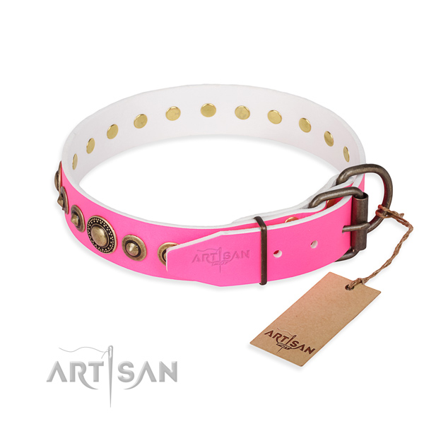 Durable genuine leather dog collar crafted for everyday walking