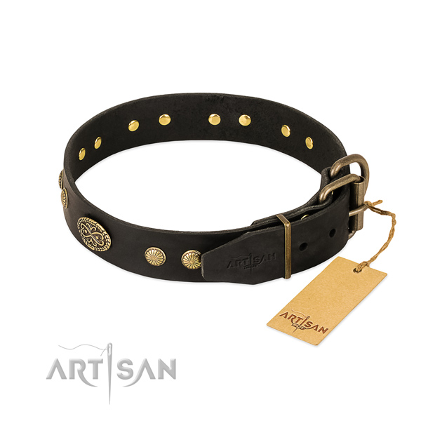 Reliable traditional buckle on genuine leather dog collar for your canine