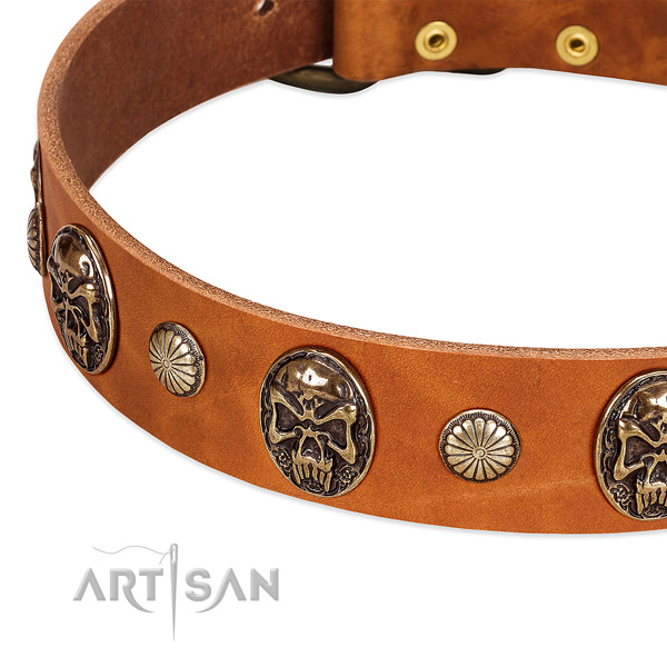 Strong traditional buckle on full grain leather dog collar for your dog