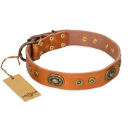 (image for) "Dandy Pet" FDT Artisan Handcrafted Tan Leather American Bulldog Collar