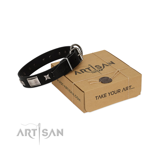 Flexible full grain natural leather dog collar with reliable hardware