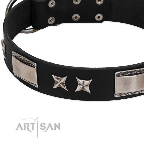 High quality leather dog collar with rust resistant traditional buckle