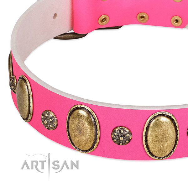 Quality genuine leather dog collar with corrosion proof fittings