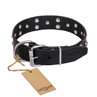 (image for) 'Mystic Skulls' Decorated Leather Dog Collar with Skulls and Studs