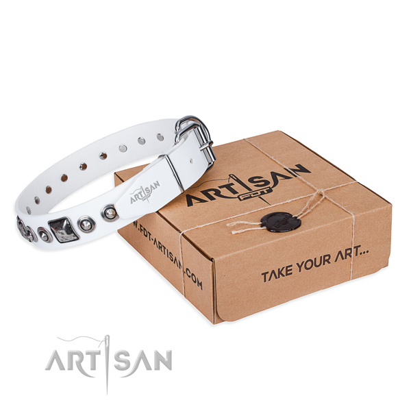 Top rate genuine leather dog collar handmade for everyday use