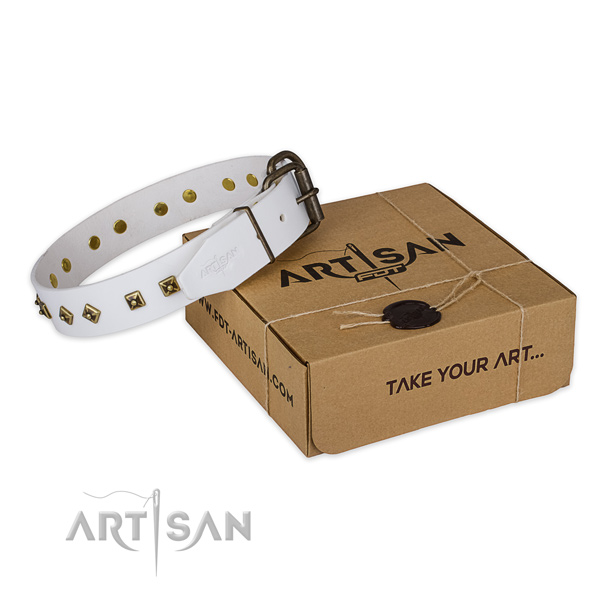 Rust resistant buckle on leather dog collar for everyday walking