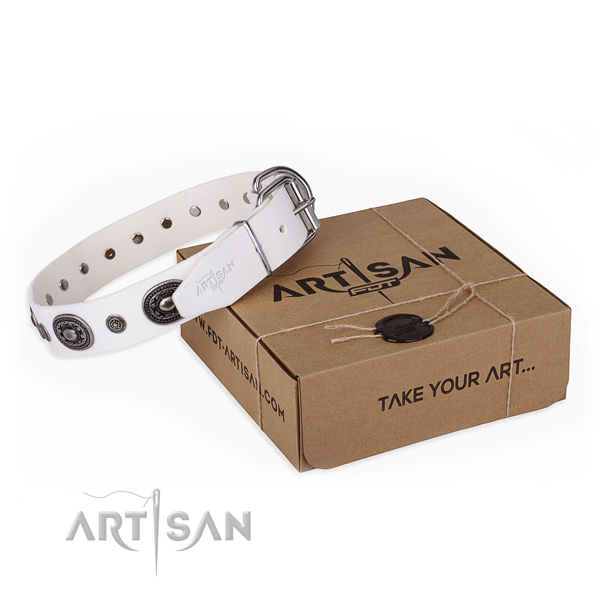 Gentle to touch full grain natural leather dog collar made for everyday use
