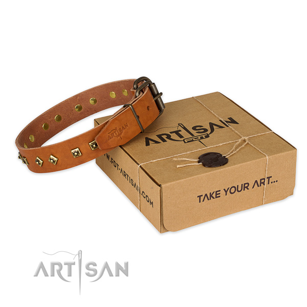 Strong fittings on full grain genuine leather dog collar for walking